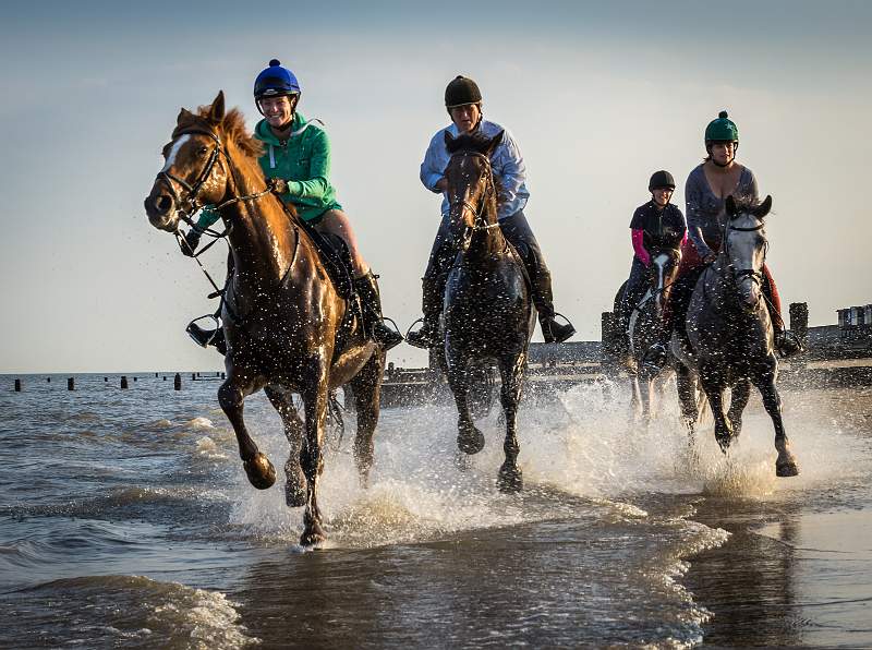 On the beach DPi copy Mark Alder open.jpg